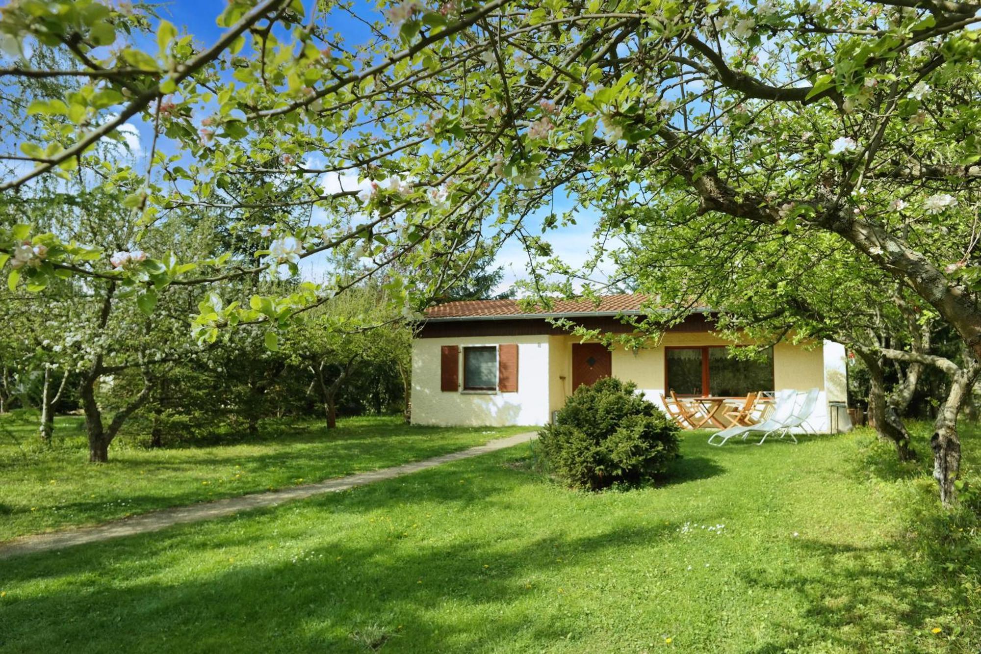 Harzer Feriengarten Quedlinburg Εξωτερικό φωτογραφία