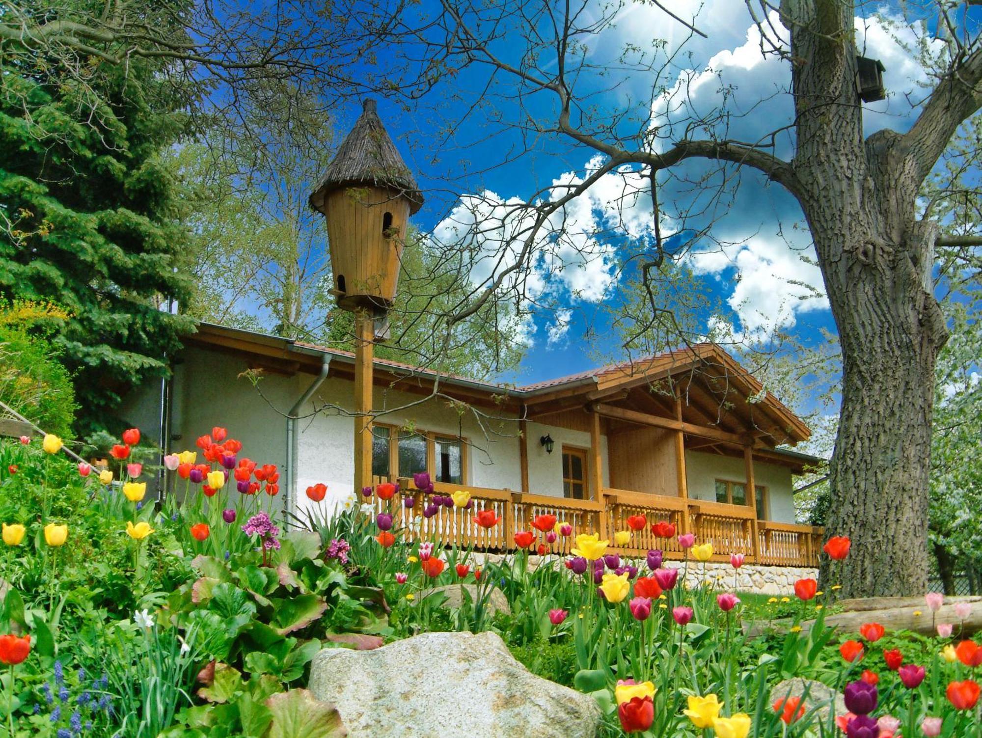 Harzer Feriengarten Quedlinburg Εξωτερικό φωτογραφία